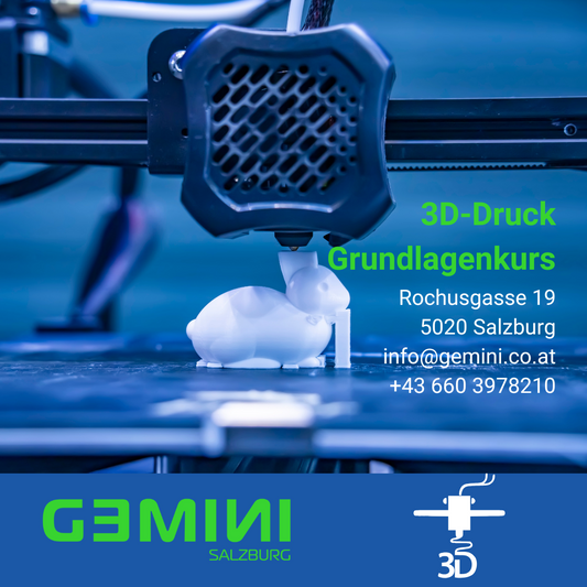 3D-Druck für Einsteiger -  Grundlagenkurs - Gemini_Salzburg