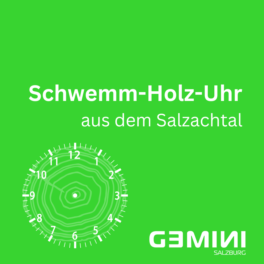 Stand- oder Wanduhr bauen - Gemini_Salzburg
