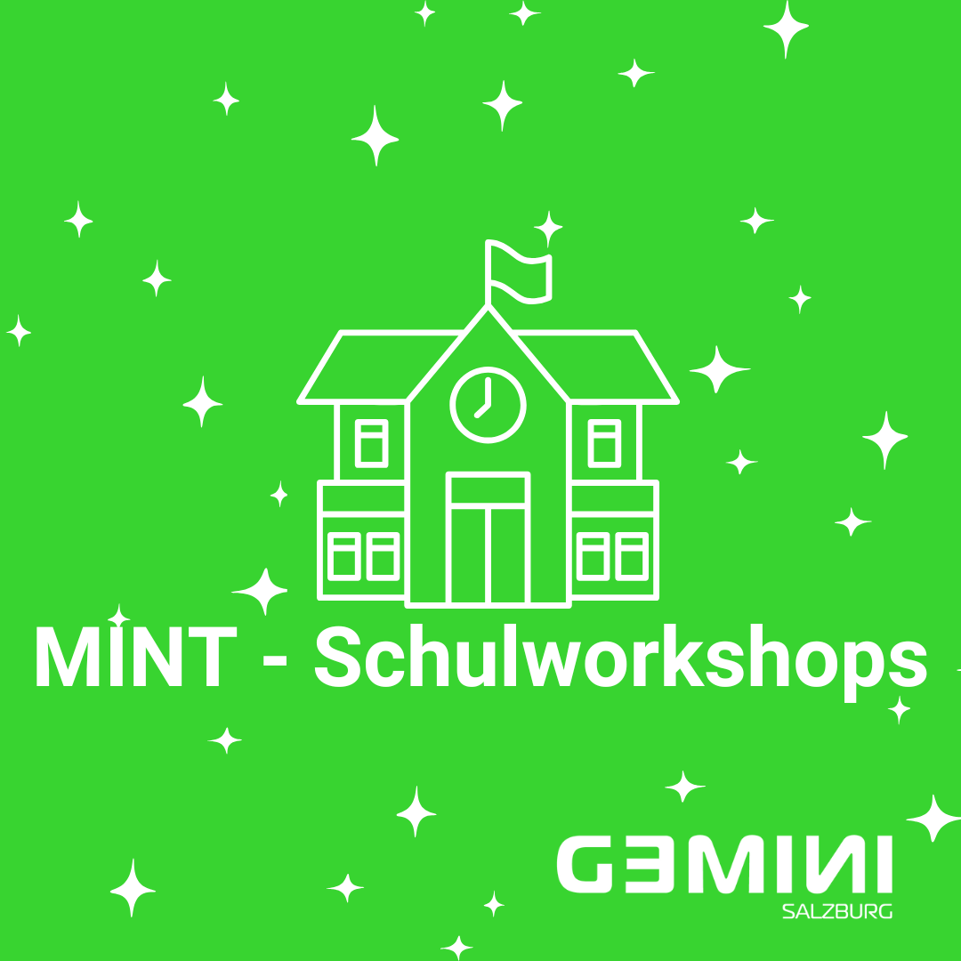 MINT - Schulworkshops