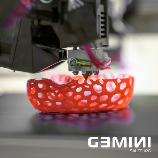 3D-Druck für Einsteiger:innen - Lehrlingskurs - Gemini_Salzburg 