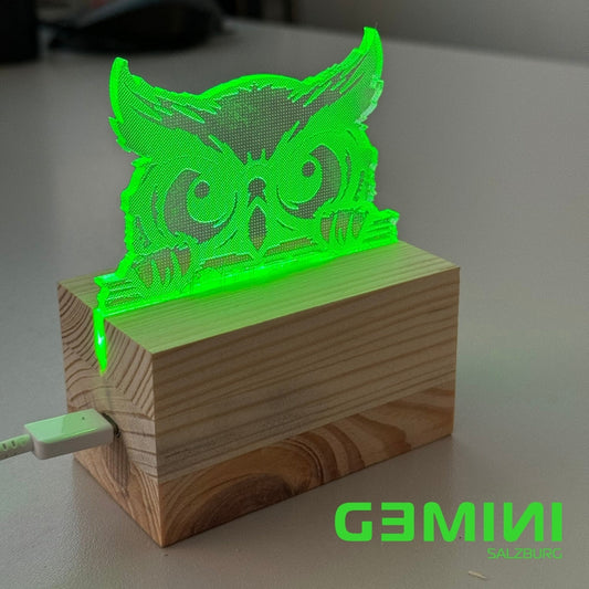 LED-Lampen Bau Workshop - Gemini_Salzburg 