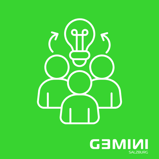 Meinen Lehrbetrieb verstehen lernen - Lehrlingskurs - Gemini_Salzburg 